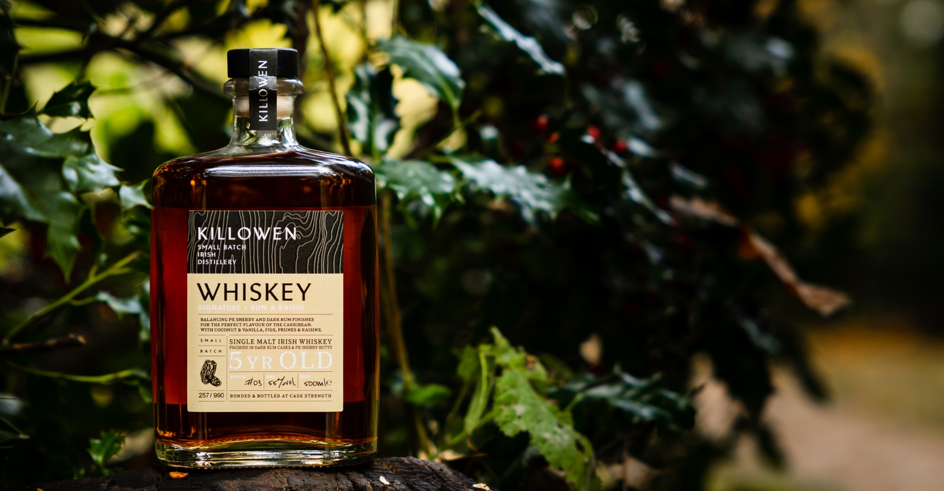 2022_11_08_Killowen3 killowen signature rum and raisin whiskey on a piece of wood with green leaves in the background