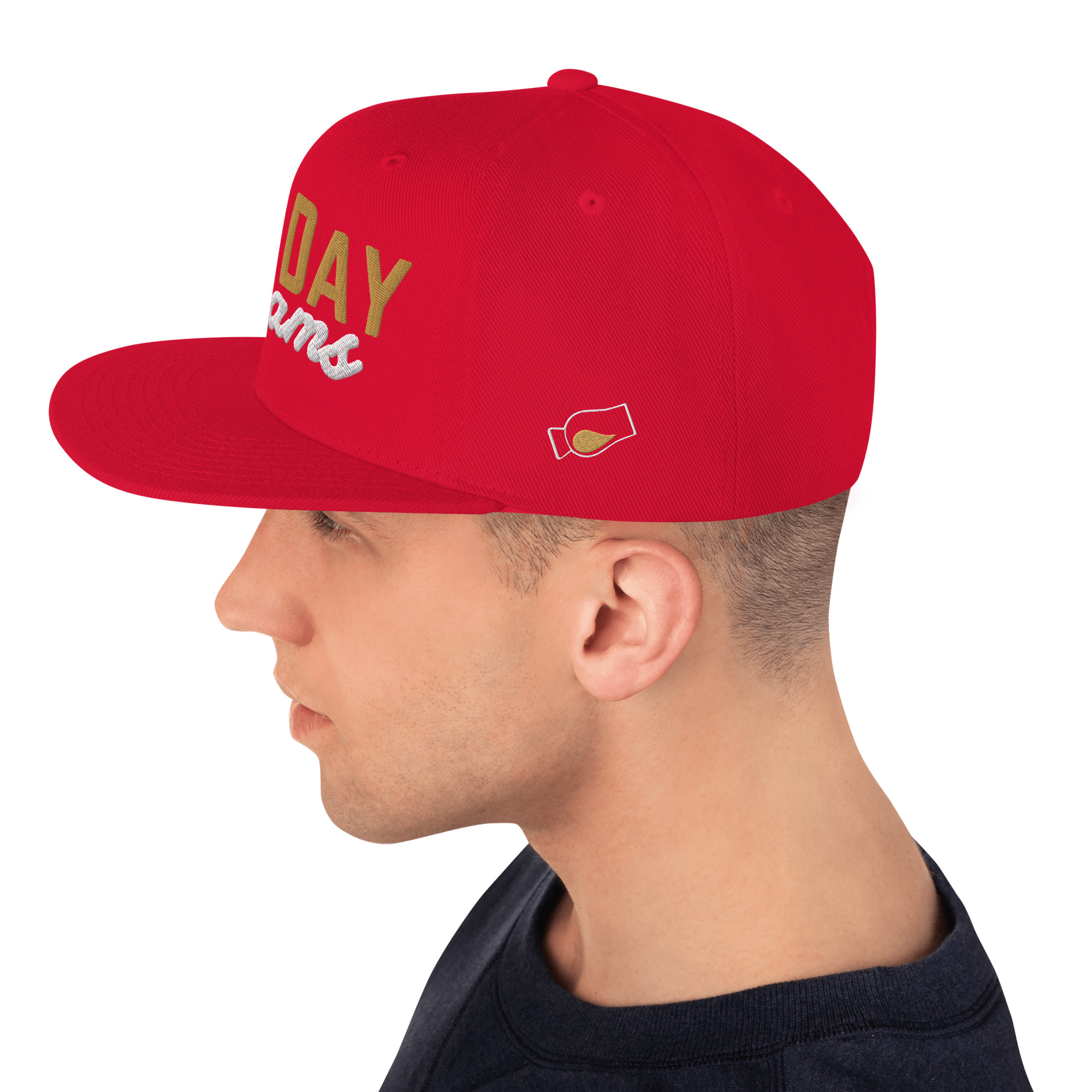"All Day Drams" Snapback Hat | Embroidered Whisky Cap - Image 34