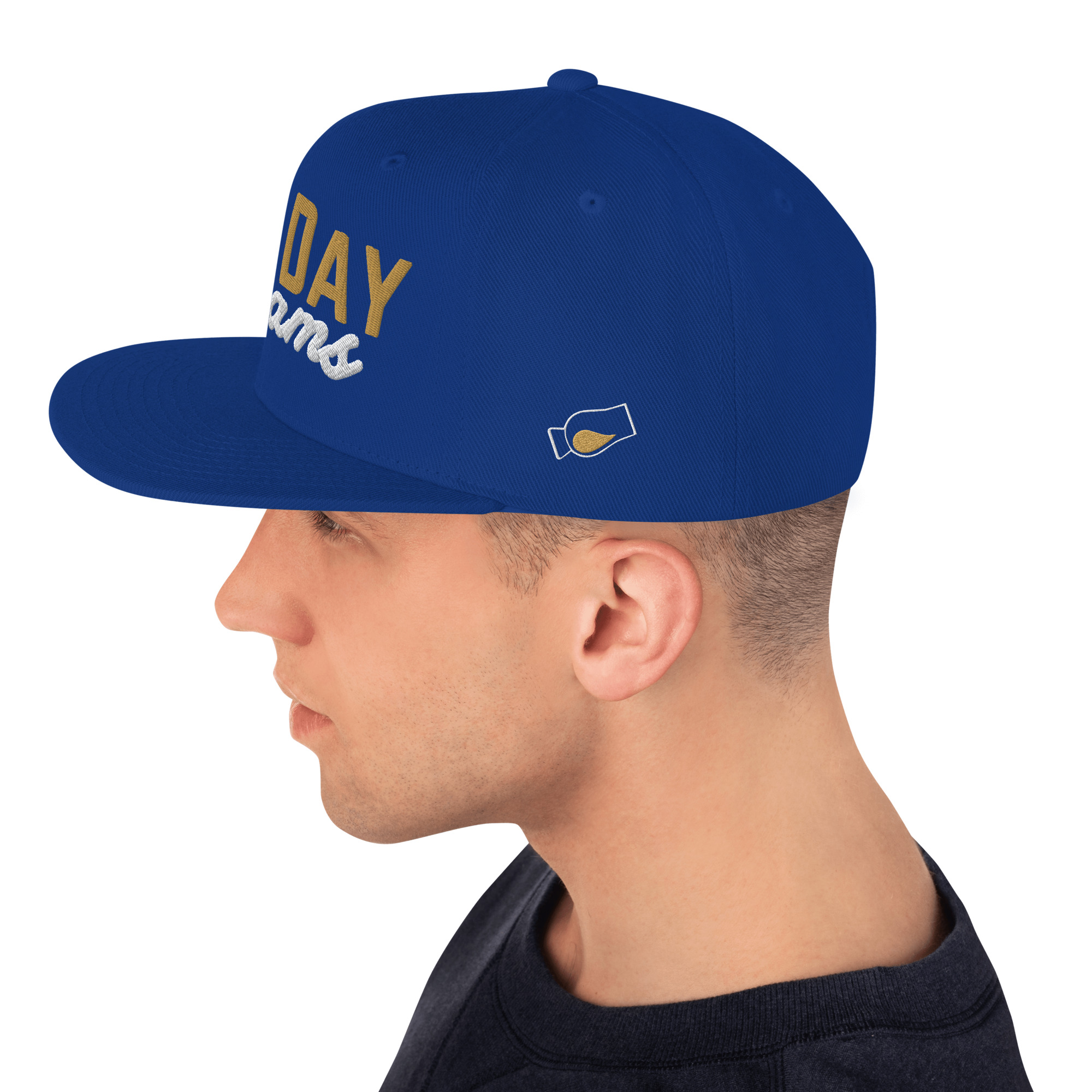 "All Day Drams" Snapback Hat | Embroidered Whisky Cap - Image 22